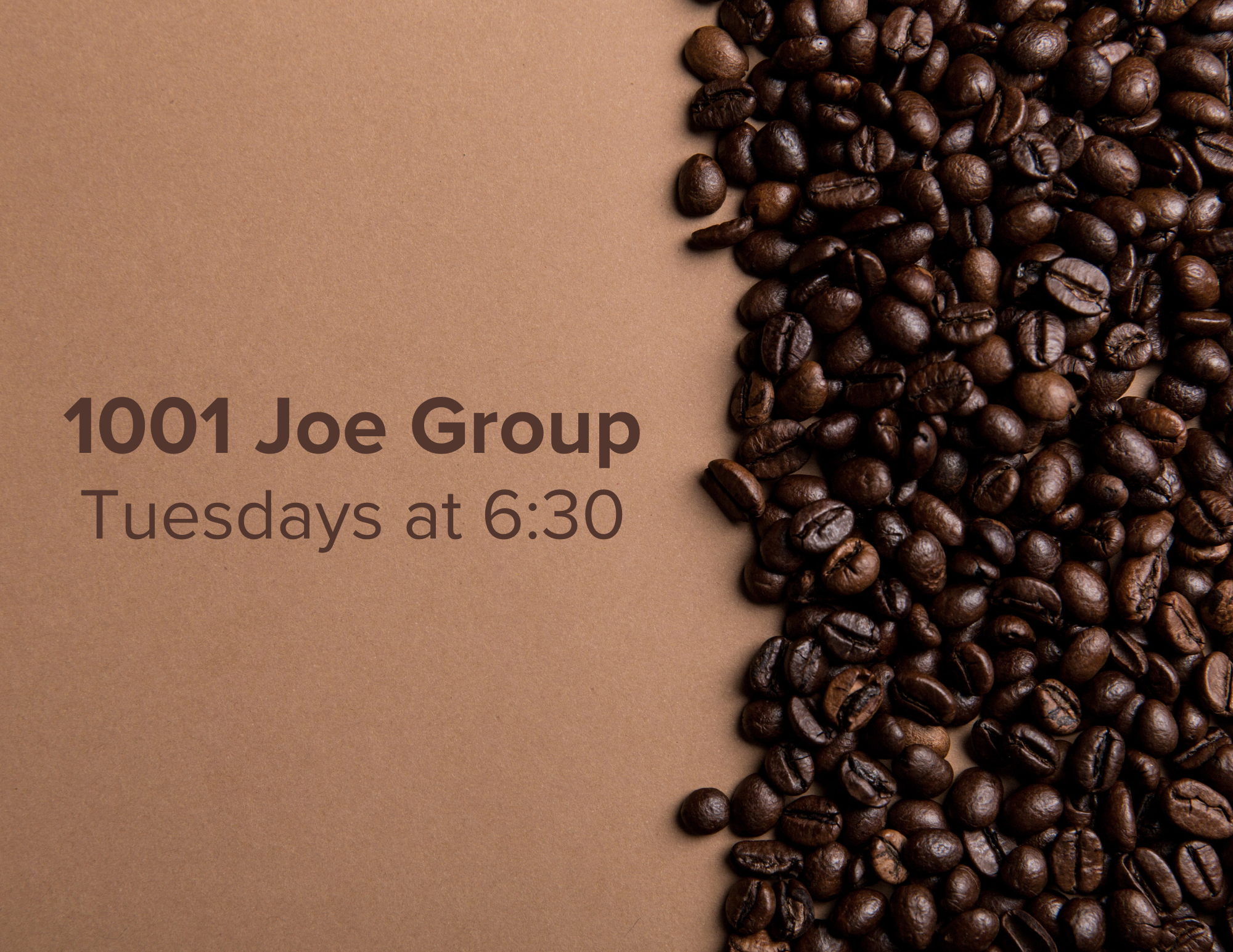 New 1001 Joe Group